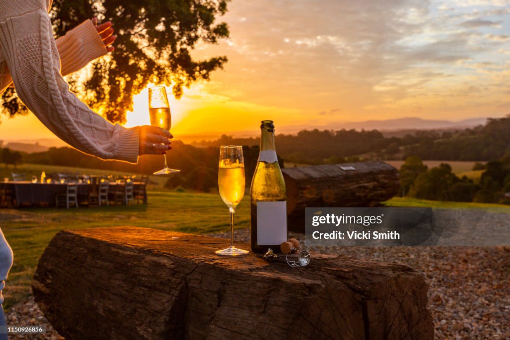 Hand holding a glass of wine at Sunset