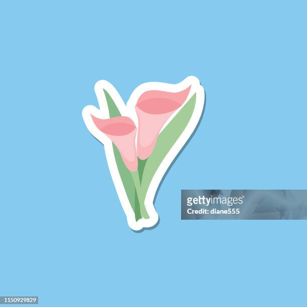 cute flower icon in flat design - pink calla lily - calla lily stock illustrations