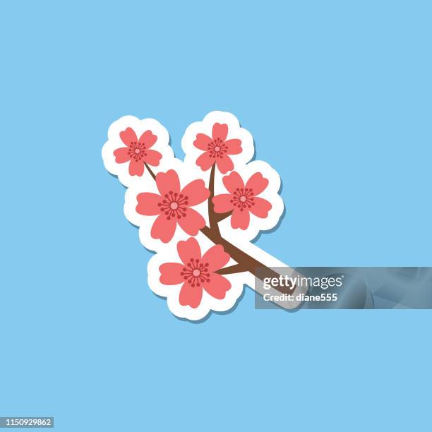 ilustraciones, imágenes clip art, dibujos animados e iconos de stock de icono de flor linda en diseño plano-flores de cerezo - cherry stickers