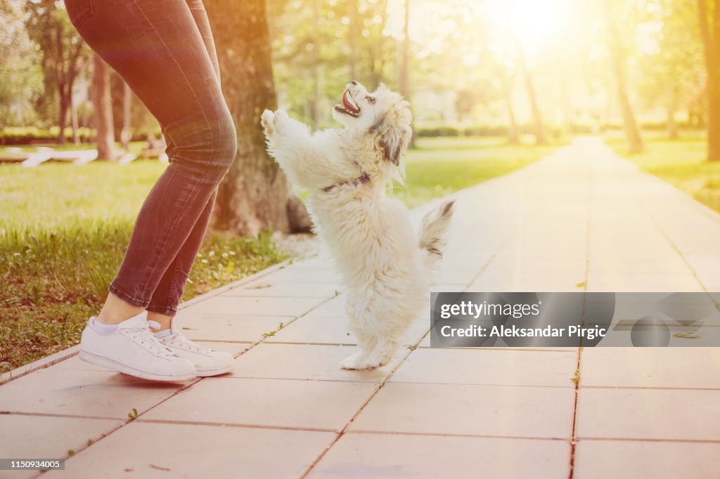 Girl and her dog in the park