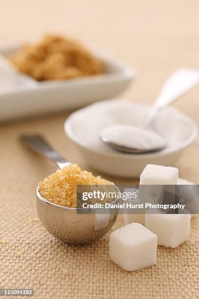 types of sugar - turbinadosocker bildbanksfoton och bilder