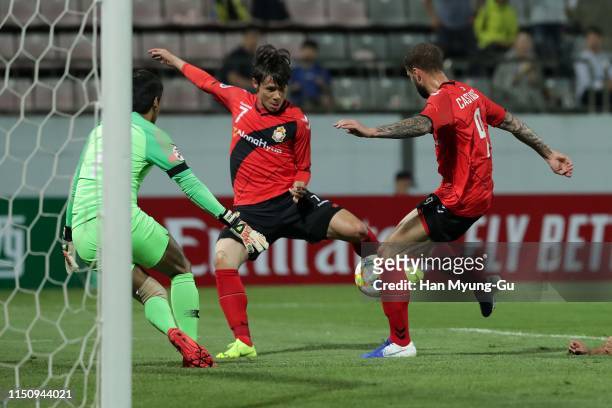 Luc Castaignos of Gyeongnam FC celebrates after scoring a first goal during the AFC Champions League Group E match between Gyeongnam FC and Johor...