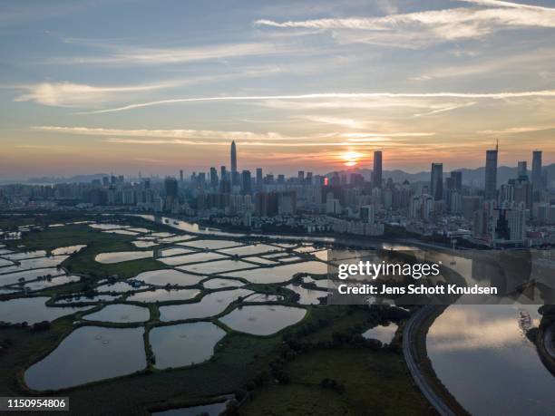 view of shenzhen's futian skyline from new territories in hong kong - hong kong skyline drone stock pictures, royalty-free photos & images