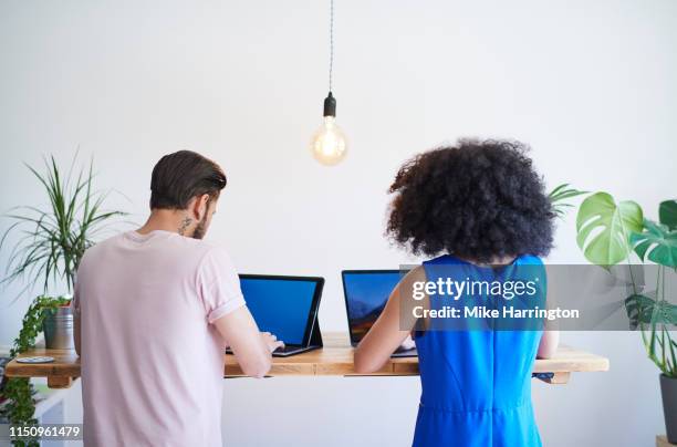 young creative team working on laptops with backs to camera in a modern sustainable office - man talking to camera stock pictures, royalty-free photos & images