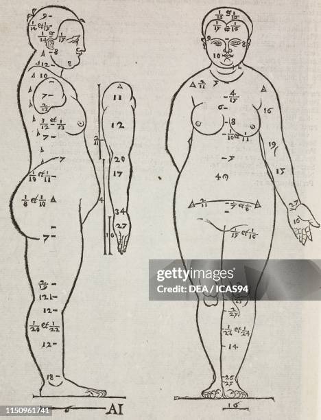 Proportions of a female body, engraving from Della simmetria dei corpi humani , Volume I, by Alberto Durero Venice.