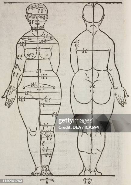 Proportions of a female body, engraving from Della simmetria dei corpi humani , Volume I, by Alberto Durero Venice.