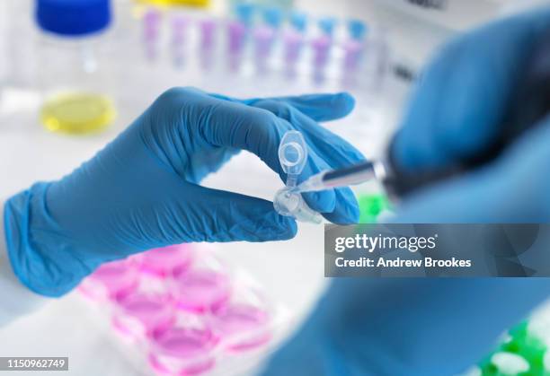 biotechnology research, scientist pipetting sample into vial for analysis in laboratory, close up of hands - stem cell research stockfoto's en -beelden
