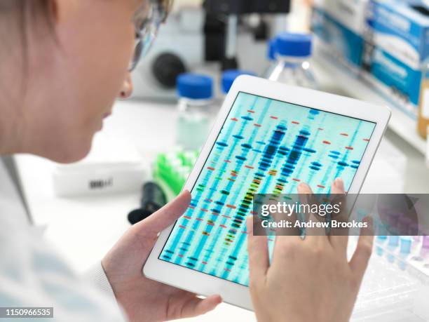 female scientist examining dna sequence results on digital tablet in laboratory - medical research blood stock pictures, royalty-free photos & images