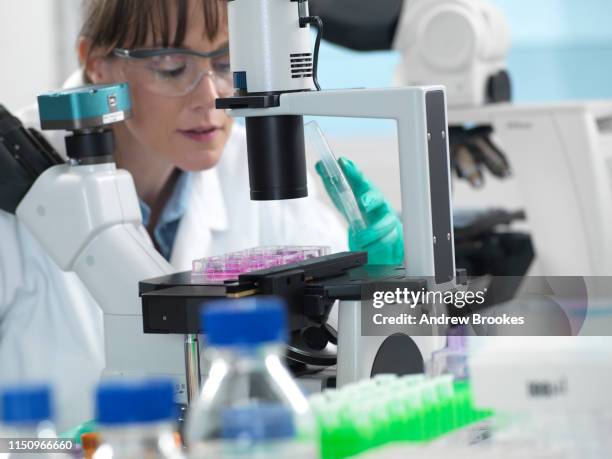 63 Inverted Microscope Stock Photos, High-Res Pictures, and Images ...