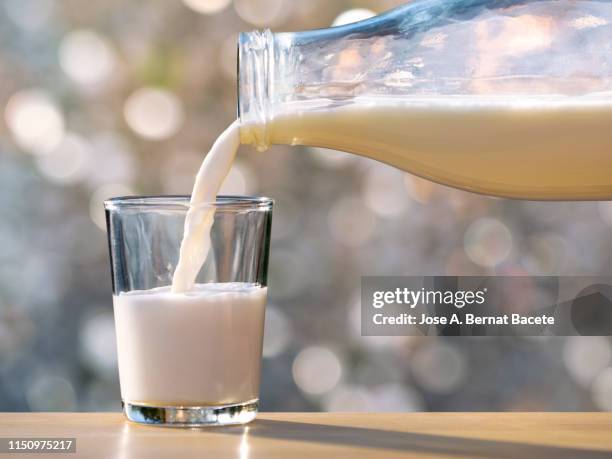 filling of a glass of milk in a glass glass with natural light. - soya milk stock pictures, royalty-free photos & images