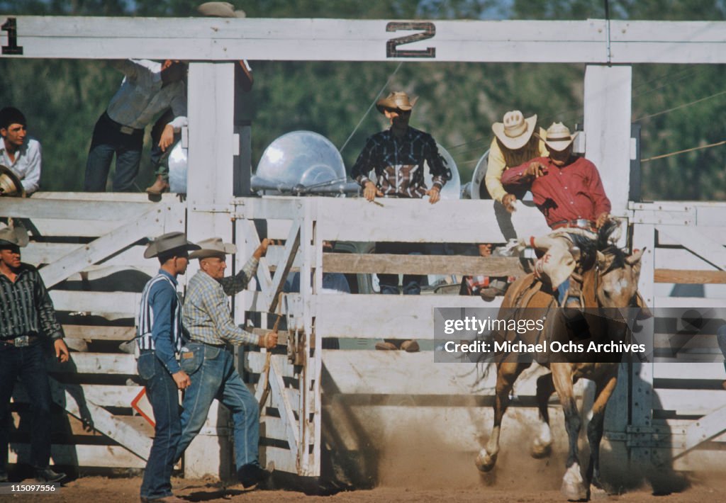 Sd Rodeo A cowboy on horseback taking part in a rodeo in Rapid City, South ...