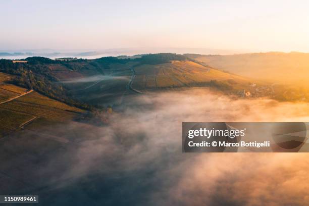 foggy landscape at sunrise, burgundy, france. aerial view. - vignes bourgogne photos et images de collection