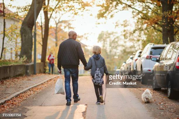 full length rear view of senior man walking with grandson and dog on road - animal back stock photos et images de collection