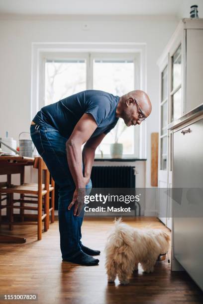 full length side view of retired senior male looking at dog eating in kitchen - man standing full length side stock-fotos und bilder