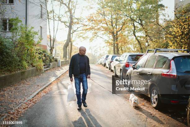 full length of elderly man holding shopping bag walking with dog on road during autumn - dog walking fotografías e imágenes de stock