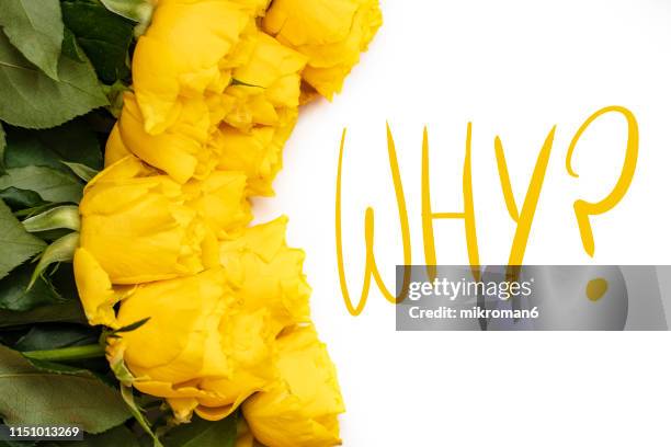 yellow roses with question mark - anniversary mark stock pictures, royalty-free photos & images