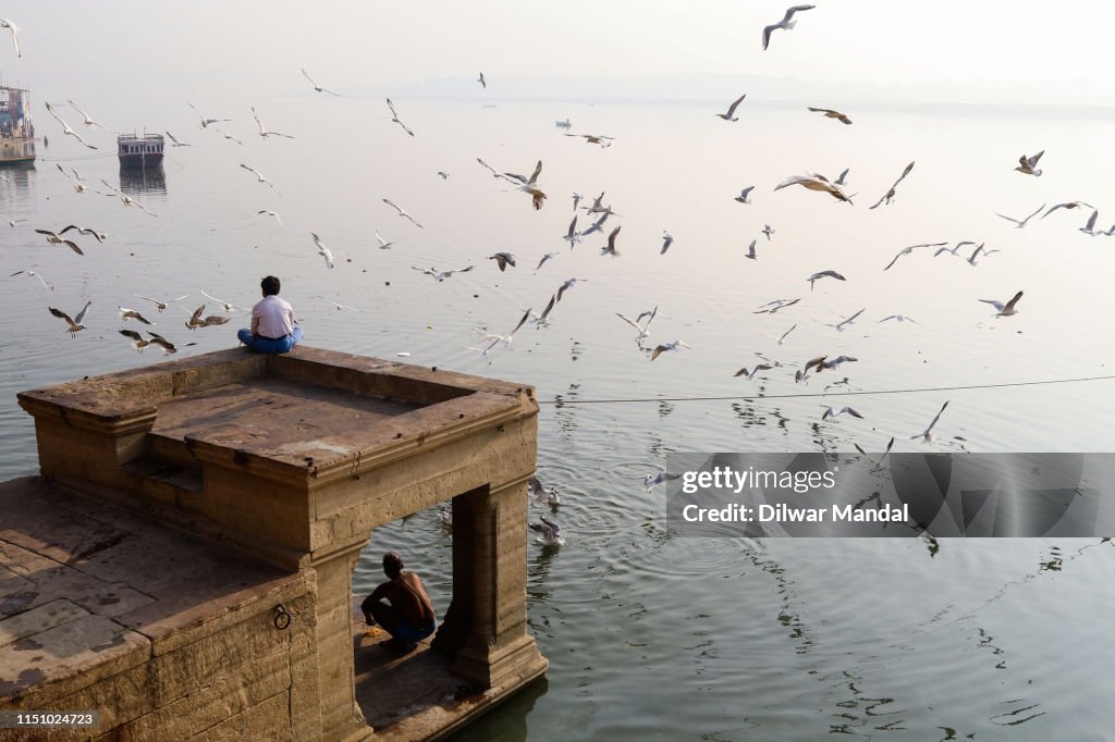 Flaying Gulls At Early Morning In Varanasi