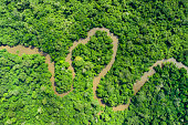 Meandering jungle river in the rainforest of the Congo Basin