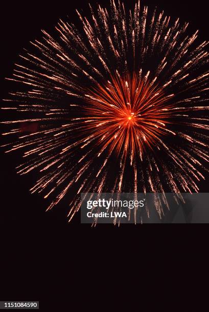 fireworks exploding, - archival images stock pictures, royalty-free photos & images