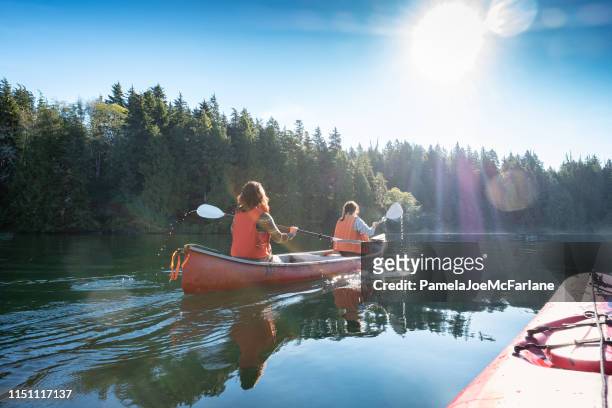 pov, sunlit summer kayaking with women canoeing in wilderness inlet - kayak stock pictures, royalty-free photos & images