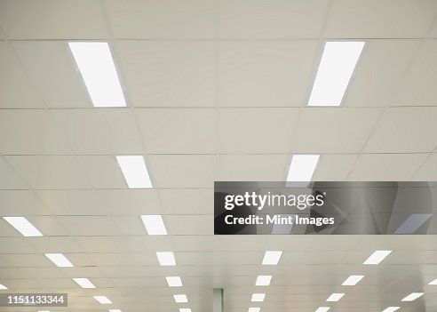 Suspended Ceiling Lights Suspended Ceiling Lights