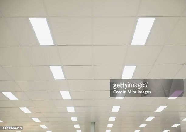 suspended ceiling lights - soffitto foto e immagini stock