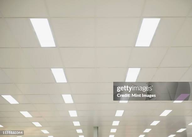 suspended ceiling lights - luz fluorescente imagens e fotografias de stock