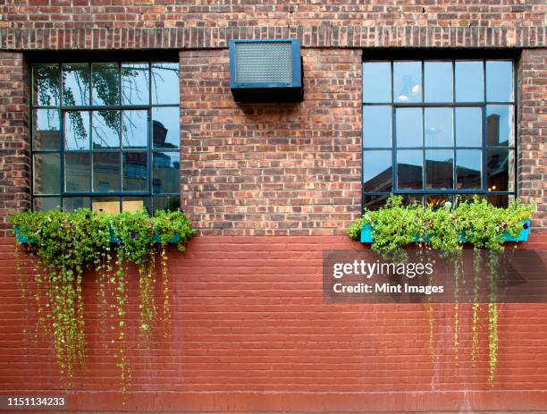 flower boxes on a brick wall - apartment exterior ストックフォトと画像