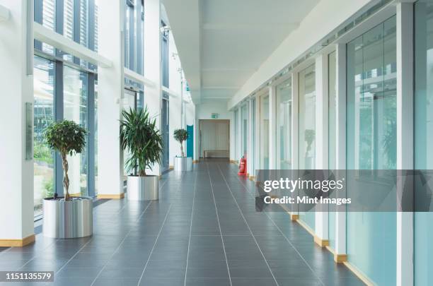 corridor in a modern office - empty hall fotografías e imágenes de stock