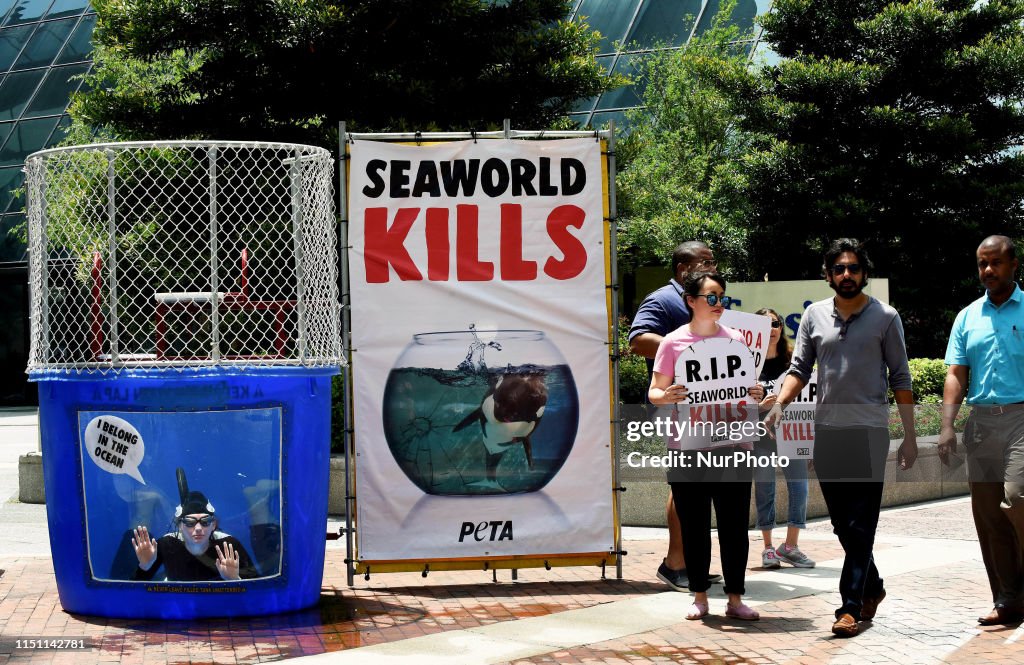 PETA Protest Of SeaWorld In Orlando