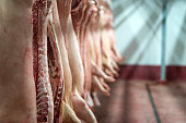 Meat industry. Fresh pork meat hanging in the butchery shop.