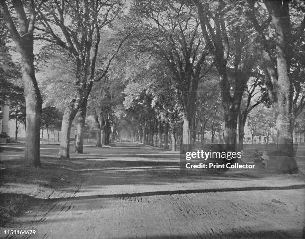 The Elms," New Haven, Conn.', circa 1897. From "A Tour Through the New World America", by Prof. Geo. R. Cromwell. [C. N. Greig & Co., London, circa...