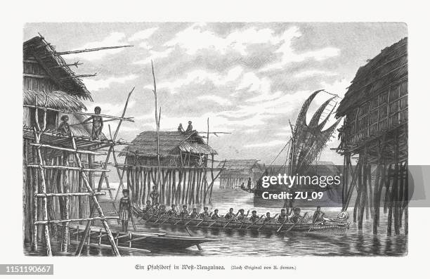 pile village in western new guinea, wood engraving, published 1897 - indonesian culture stock illustrations