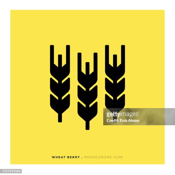 wheat berry monochrome icon - cereal bowl stock illustrations