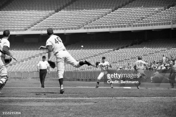Los Angeles Dodger pitcher Bill Singer and catcher Tom Haller scramble for the ball. Singer was able to grab the ball although his throw to Dodgers...