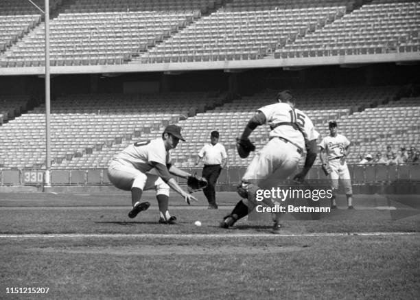 Los Angeles Dodger pitcher Bill Singer and catcher Tom Haller scramble for the ball. Singer was able to grab the ball although his throw to Dodgers...