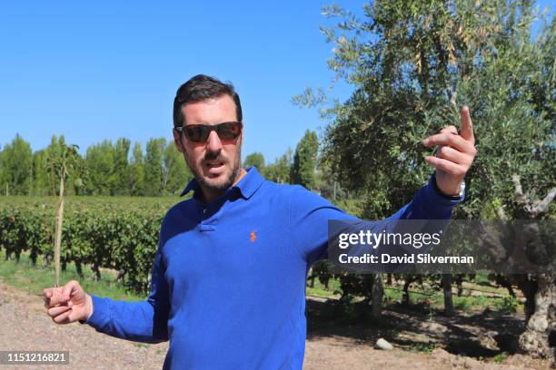 Gérald Gabillet, the Technical Director at Cheval des Andes, shows the winery's vineyards to visitors on March 29, 2019 in the Luján de Cuyo district...