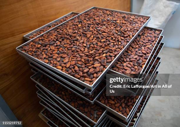 Dried cocoa beans in a factory, Sud-Comoé, Grand-Bassam, Ivory Coast on May 11, 2019 in Grand-bassam, Ivory Coast.