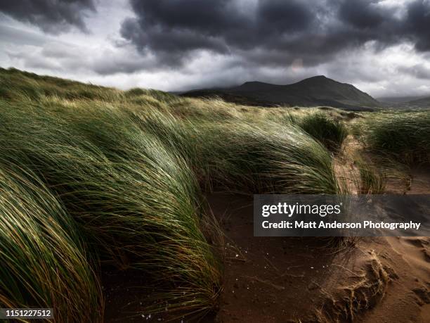 dunes of fermoyle - ireland photos et images de collection