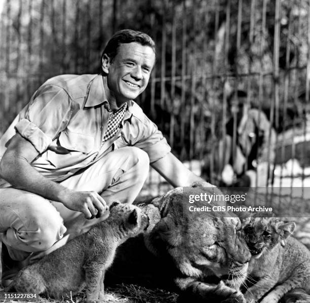 Marshall Thompson stars as veterinarian, Dr. Marsh Tracy, in "Daktari," a CBS television African adventure series. Image dated: October 28, 1965.