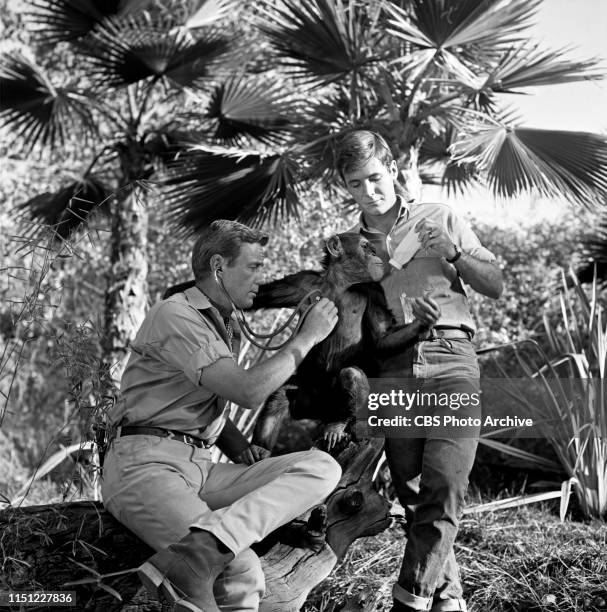 Marshall Thompson and Yale Summers star in "Daktari," a CBS television African adventure series. Image dated: October 28, 1965.