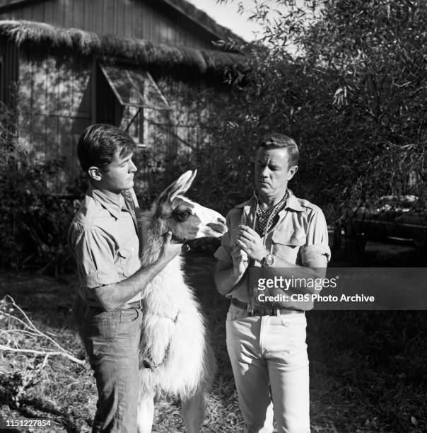 Yale Summers and Marshall Thompson star in "Daktari," a CBS television African adventure series. Image dated: October 28, 1965.