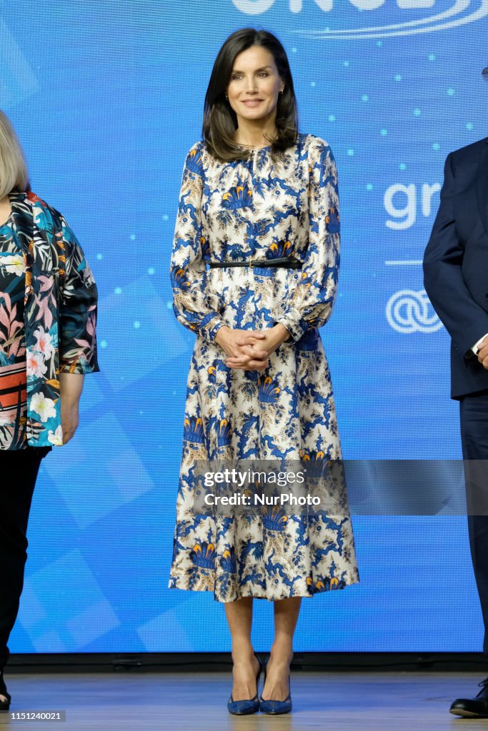 Queen Letizia Of Spain Attends 'DICAPNET' Awards