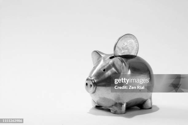 small metal piggy bank with american quarter coin - austerity imagens e fotografias de stock