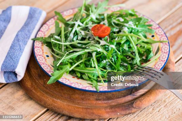salade de roquette à la petite assiette, gros plan - roquette photos et images de collection