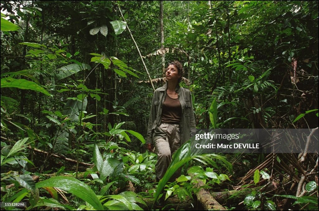 Amazon Rain Forest : Despina Chronopoulos, Explorer Of Mamiraua, The World'S Largest Nature Reserve In Brazil In April, 2002.