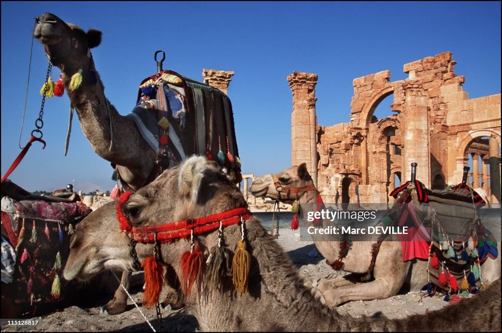 Palmyra'S Last Treasures In Syria In September, 2002.