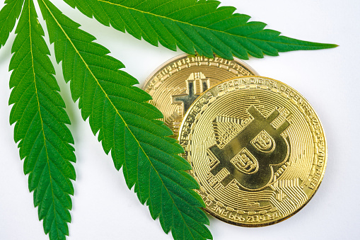 Green Cannabis Leaf, flower bud and Bitcoin