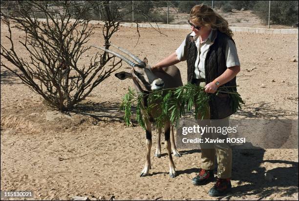 Al Wabra wildlife preservation: Sheikh Saoud Al-Thani's Noah's Ark in Qatar in January, 2003 - Catrin Hammer accompanied by a Beisa Oryx nicknamed...