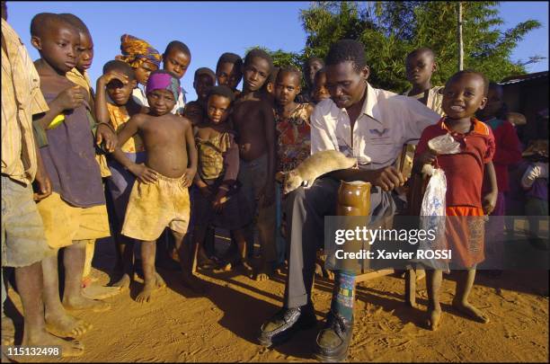 Sniffer rats trained to find landmines in Mozambique on May 03, 2004 - 38-year-old Joao Passi Bango was wounded by a landmine in 1986. He meets...